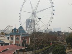 -锦江乐园舞狸花花游园会(夜场专享)