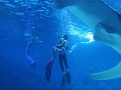 -烟台海昌鲸鲨海洋公园