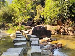 -广州白江湖森林公园