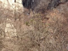 -崂山巨峰游览区