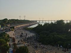 -宝安西湾红树林湿地公园