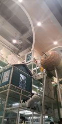 -meland club亲子乐园(石家庄万象城店)