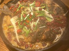 -老板恋上鱼(高新万达店)