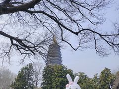 -红梅公园