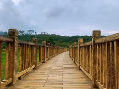 -清溪大王山森林公园
