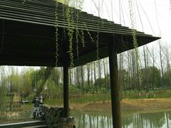 -尚贤河湿地