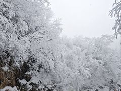 -嘉陵江源头景区