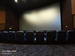 -金逸影城(荟聚IMAX激光店)