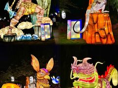 -白马涧龙池景区