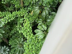-福道