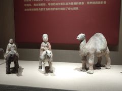 -宁夏博物馆