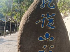 -西双版纳原始森林公园