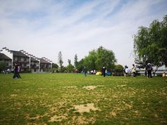 -鹅湖玫瑰文化园