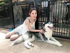 -TrueLove @ Neverland (Husky Cafe)
