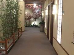 -汤泉良子(金源店)