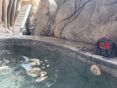-中华郡温泉