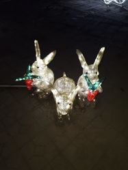 -郑州市世纪公园