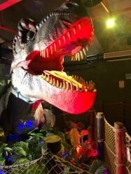 -恐龙探索乐园(磁器口店)