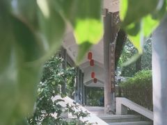 -荔湾湖公园