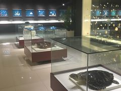 -青岛贝壳博物馆