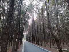 -同里国家湿地公园