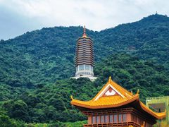 -深圳仙湖植物园-停车场