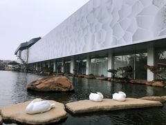 -罗红摄影艺术馆