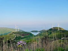 -东白山