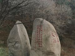 -崂山仰口游览区