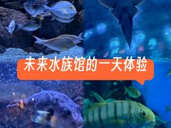 -成都浩海立方海洋公园
