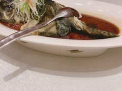 清蒸石斑-红顶食府(滨湖九号店)