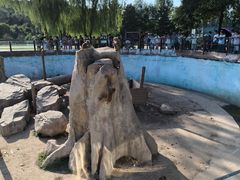 -沈阳森林动物园