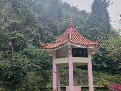 -莫里热带雨林景区