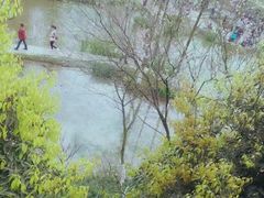 -重庆彩云湖湿地公园