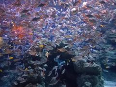 -成都浩海立方海洋公园