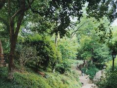 -吴山景区
