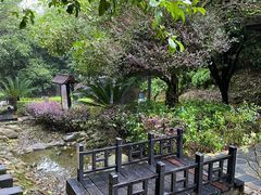 -明月山天沐温泉度假村