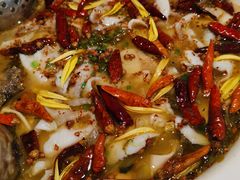 -新太二·鲜料川菜(花都融创茂店)