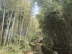 -黄公望隐居地
