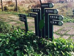 -长兴太湖图影湿地文化园