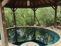 -天目湖涵田半山温泉