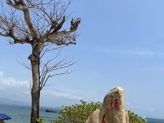 -三亚蜈支洲岛旅游区