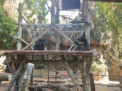 -长鹿旅游休博园