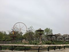 -辛玛王国游乐园