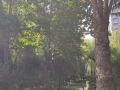 -木塔寺遗址生态公园