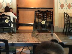 -大冒险家餐厅