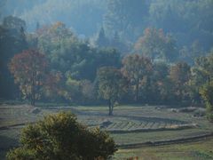 -塔川景区