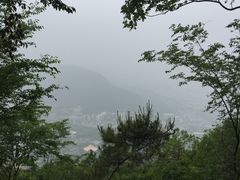 -惠山国家森林公园