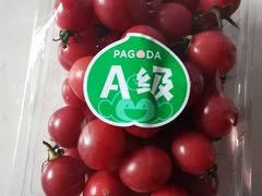 -百果园PAGODA(玄武成贤街店)