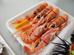 -悉尼鱼市场